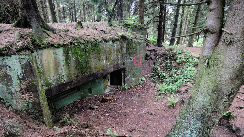 Bunker in einem Wald.