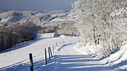 Blick in eine sonnige und verschneite Winterlandschaft.