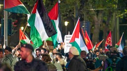 Menschen schwenken Palästina-Fahnen und halten Plakate hoch