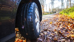 Fahren mit einem PKW auf Laub im Herbst.