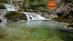 Ein Bach fließt über Felsen in einen kleinen Tümpel