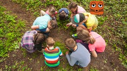 Eine Gruppe von Kindern hockt im Kreis auf einem Waldboden und sucht nach Spuren.