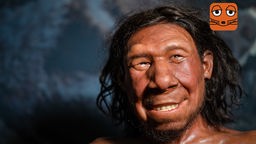 Neandertaler Rekonstruktion