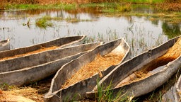 Einbäume liegen auf dem Wasser im Okawango Delta in Botswana