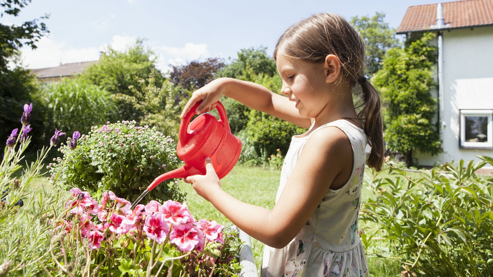 Warum muss man Blumen düngen? Die Frage des Tages Kinder