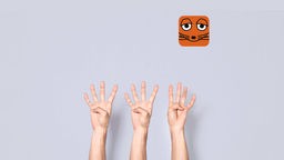 Drei Hände zeigen zwölf Finger