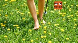 Eine Frau geht mit nackten Füßen über eine grüne Wiese mit gelben Löwenzahn-Blüten.