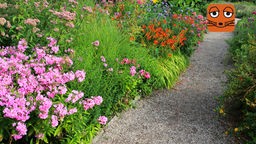 Bunt blühender Garten mit Kugeldisteln, Taglilien und Phlox.