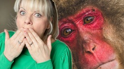 Bildmontage: Moderatorin Nina und Affe mit rotem Gesicht