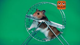 Themenbild Podcast Hamsterrad