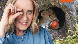 Verena vor einem Mauseloch mit Maus - Bildmontage