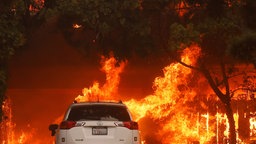 Ein weißes Auto steht vor einem Hintergrund aus Bäumen, die in einem intensiven Feuer brennen, mit Flammen, die den gesamten Bereich hinter dem Fahrzeug einnehmen; oben rechts ist das Logo mit dem Titel "Die Maus" sichtbar.