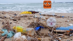 Am Strand angespülter Plastikmüll