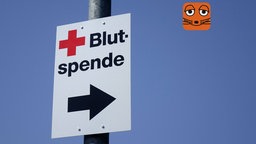 Blutspenden retten Leben