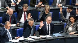 Abstimmung im Bundestag am 29.01.2025