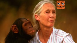 Eine Frau mit weißen Haaren, die zum Pferdeschwanz gebunden sind, blickt in die Ferne. Nah bei ihr ist ein Schimpanse, der in die gleiche Richtung schaut.