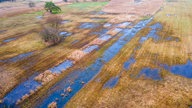 Das wiedervernässte Hangquellmoor Binsenberg