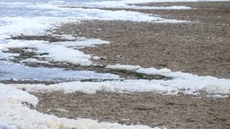 Schaum am Strand