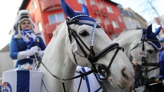 Karnevalistin und Pferd beim Kölner Rosenmontagsumzug