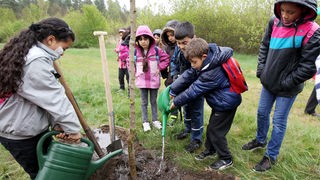 Tag des Baumes: Kinder pflanzen einen Baum