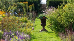 Ein schöner Garten mit bunten Blumen.