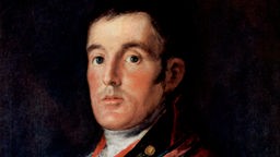 Portrait des Herzog von Wellington von Francisco Goya - Ausschnitt