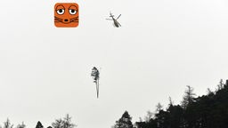 Unter einem Helikopter hängt an einem Seil ein größer Ast