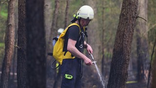 Feuerwehrmann spritzt mit Löschrucksack im Wald
