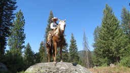 Ein Cowboy auf seinem Pferd auf einem Hügel