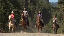 Eine Gruppe Reiter auf Pferden im Trab