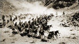 Ein auf historisch gemachtes bild einer Herde Pferde