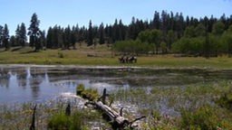 Idaho - Wildnis mit Fluß