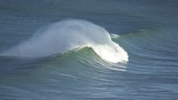 Surfcamp - Die Welle