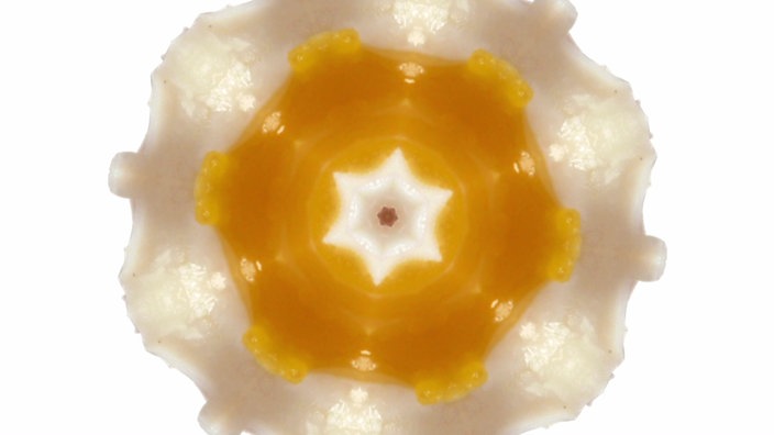 Kaleidoskop Frühstücksei