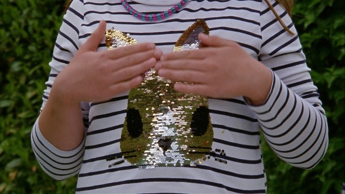 Mädchen mit einem Wendepailletten-Shirt, auf dem ein Hase abgebildet ist