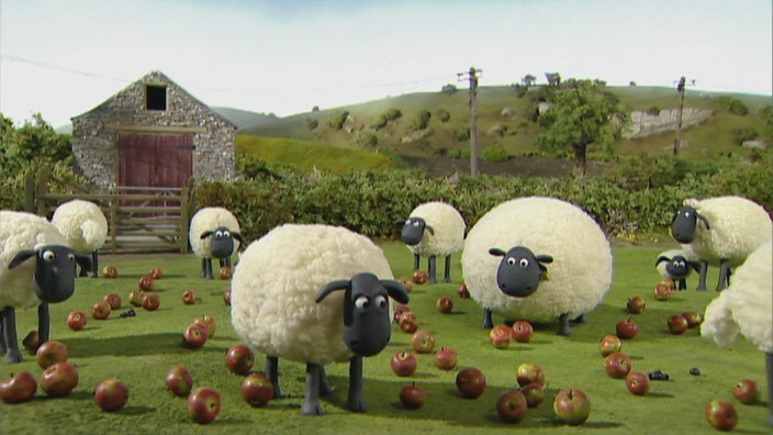 Shaun, Wiese, Äpfel