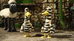 Shaun mit Zebra-Enten