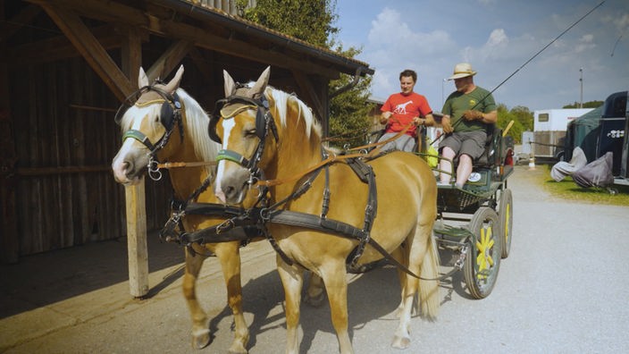 André fährt eine Kutsche mit zwei Pferden