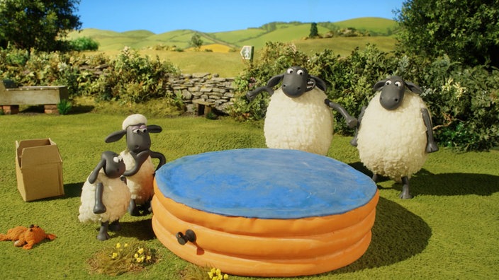 Shaun, Timmy und zwei weitere Schafe, die um ein Planschbecken herum stehen