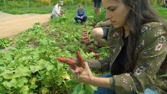 Clarissa gebückt auf einem Feld, sie hält 2 Rüben in der Hand