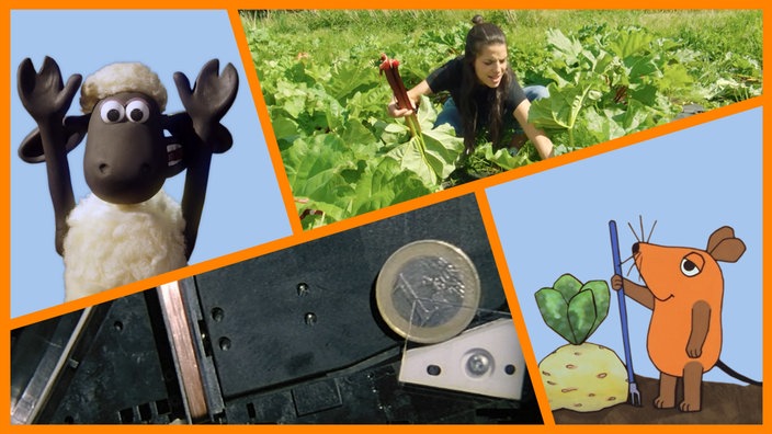 Geteiltes Bild mit den Themen der Sendung: Shaun, Clarissa in einem Rhababer-Feld, eine 1-Euro-Münze in einem Automat, die Maus mit Gartenharke, die vor einer Rübe in der Erde steht