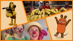 Geteiltes Bild mit Bitzer und Timmy, André und vielen Bananen im Supermarkt, Klinik-Clown-Frauen hintereinander in einer Reihe, die Maus mit einer roten Nase und einer weiß-reot gekringelten Socke