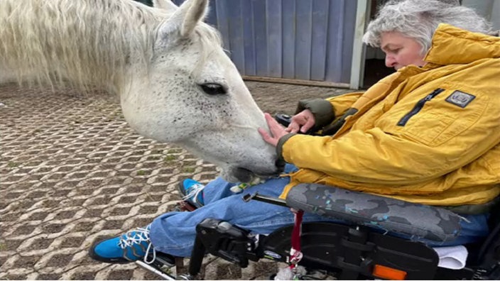 Eine Rollstuhlfahrerin füttert ein Pferd.