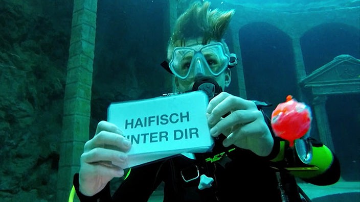 David hält unter Wasser ein Schild in der Hand, auf dem 'Haifisch hinter dir' steht.