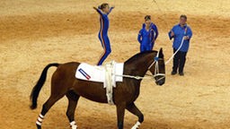 Sportlerin steht auf Pferd.