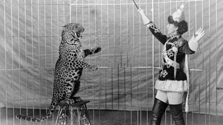 Schwarz-weiß: Die Zirkusartistin Dolores Vallecita mit einem dressierten Leoparden.