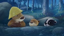 Lukas übernachtet mit seinem Sohn Udo und dem Dachsjungen Luis im Wald.