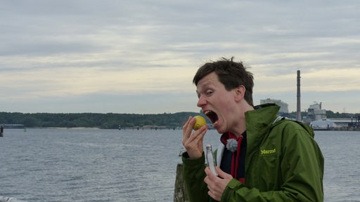 Johannes beißt an der Kieler Förde in eine Zitrone.