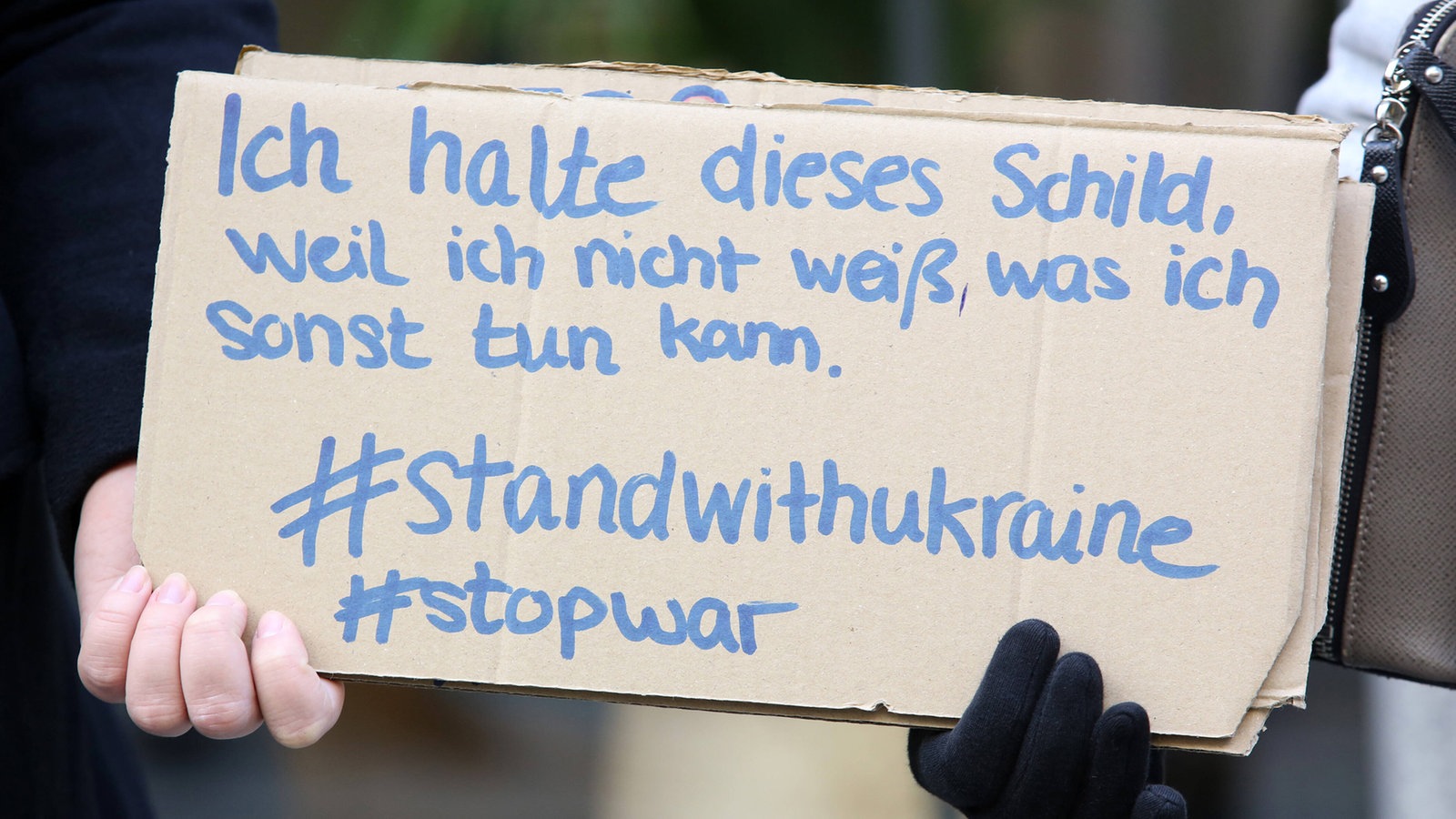 Hände halten ein Schild mit der Aufschrift "Ich halte dieses Schild, weil ich nicht weiß, was ich sonst tun kann".