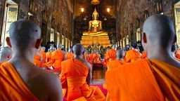 Buddhistische Mönche meditieren mit dem Rücken zu Kamera gewandt